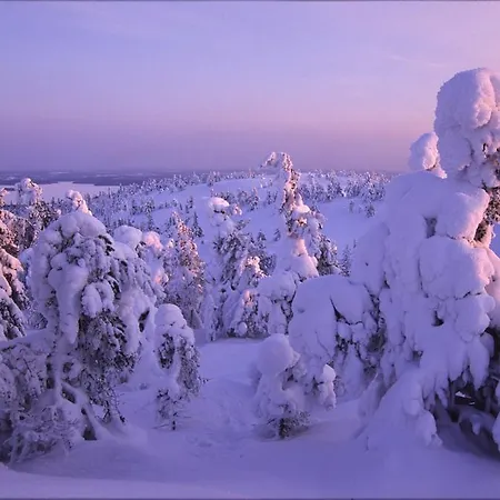 מלון Royal רוקה